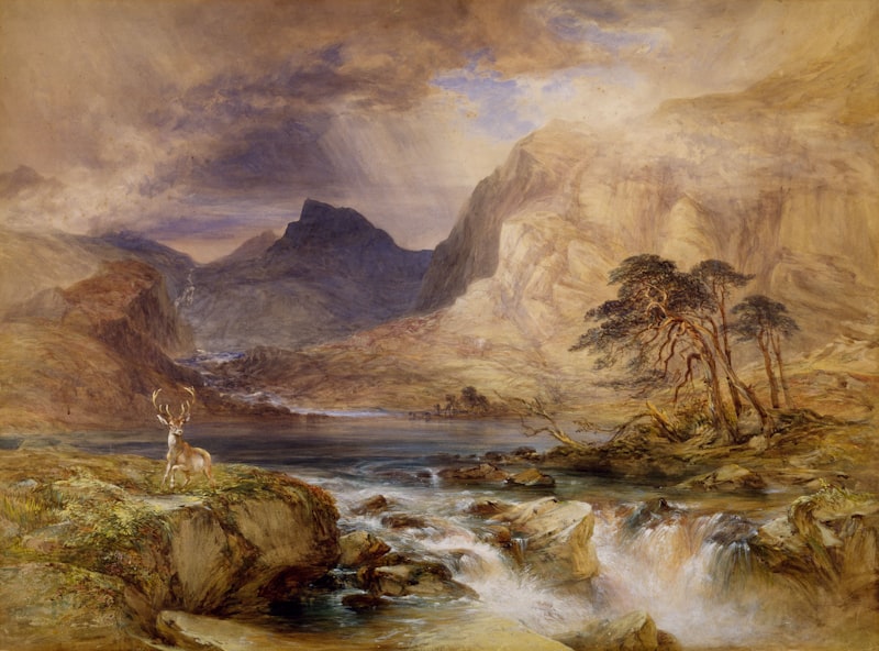 Museum Art